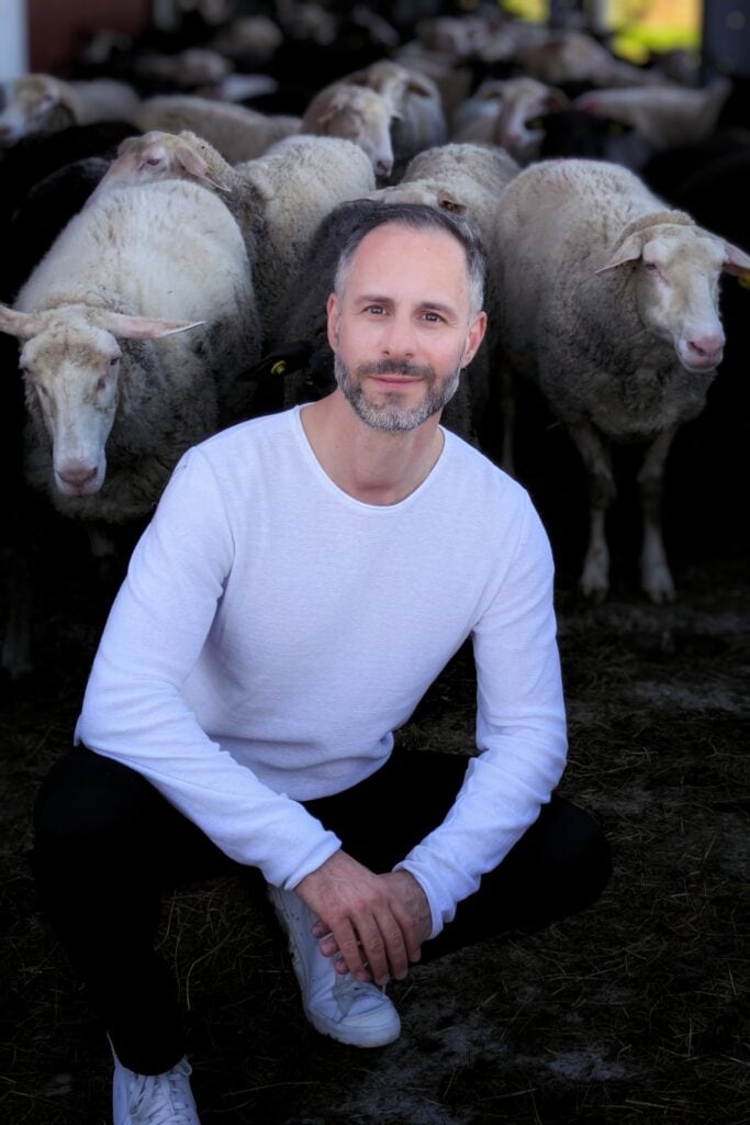 Mann vor Schafen bei Marconi und die schweigenden Lämmer.