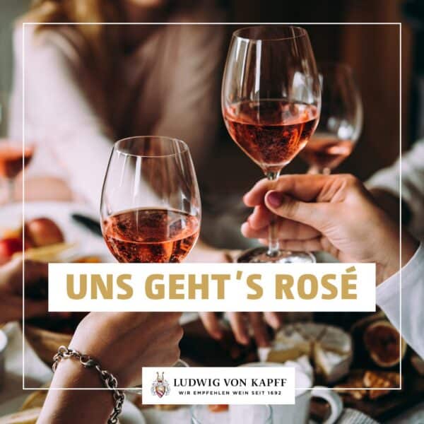 Kieker-Rose