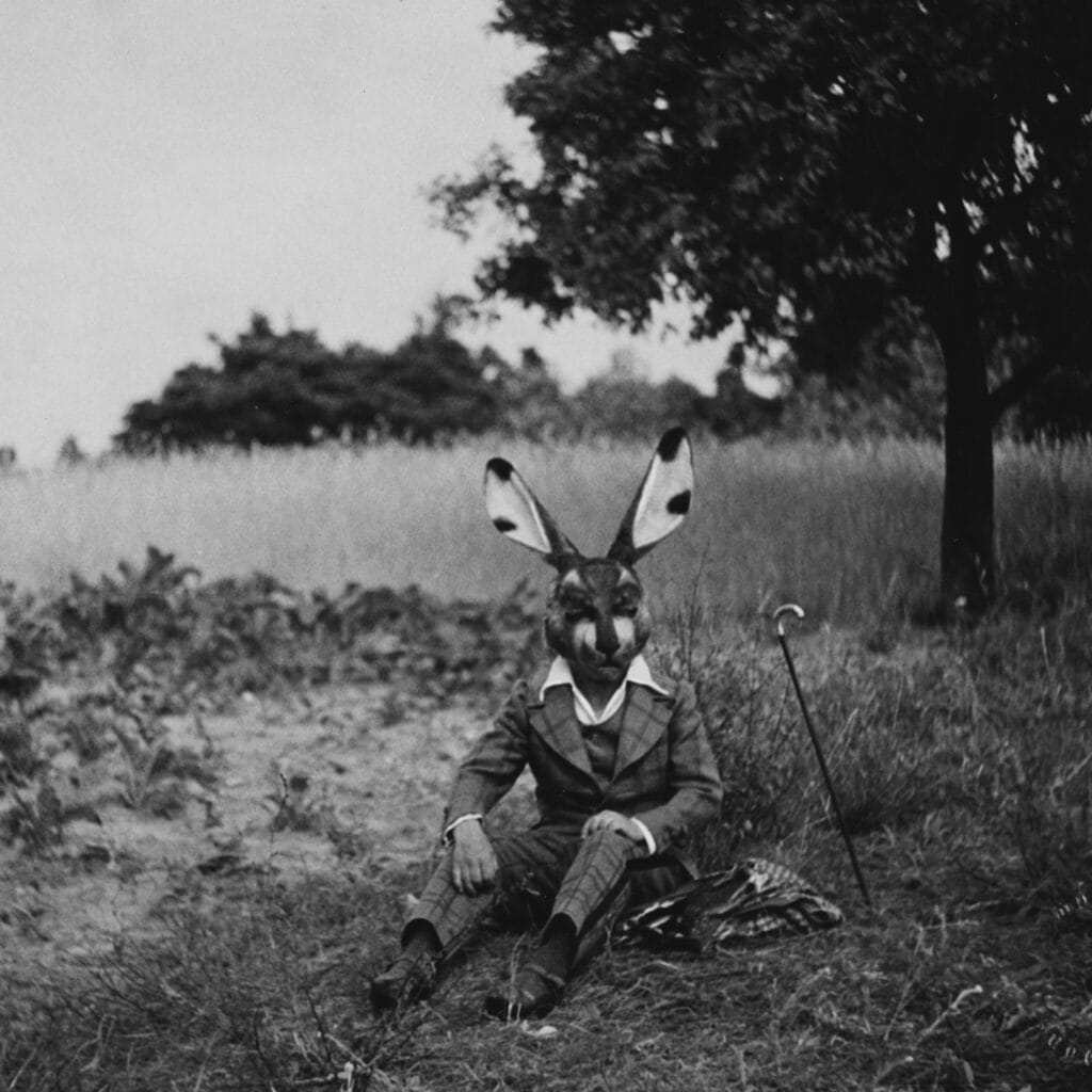 Ein als Hase verkleideter Mensch sitzt auf einer Wiese